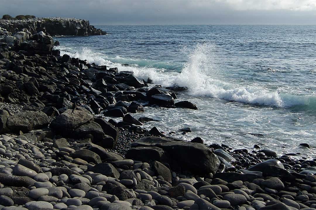 MAGICAL-ESPANOLA-1
