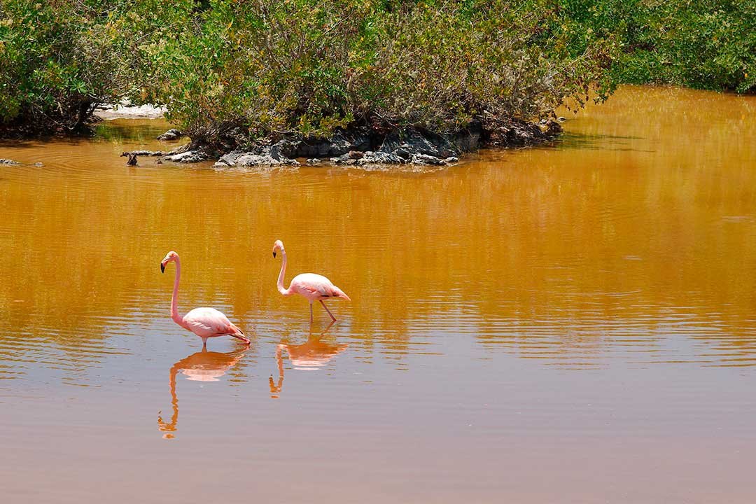 MAGICAL-ISABELA-FULL-DAY-1