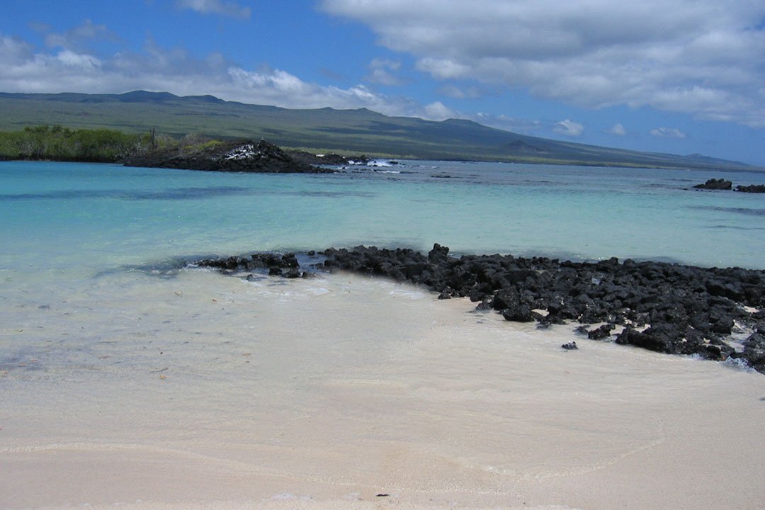 MAGICAL-ISLA-LOBOS-4