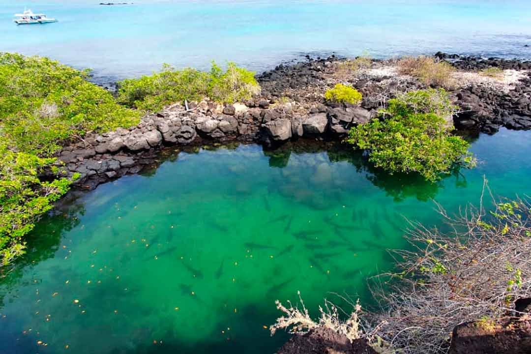 MAGICAL-TOUR-BAHIA-10